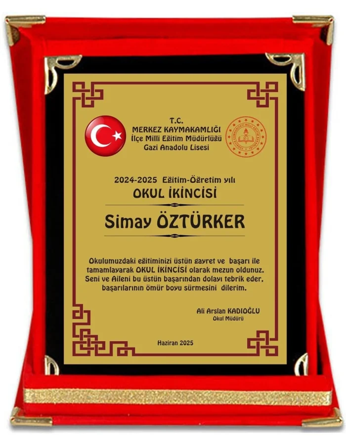 plaket çeşitleri 2