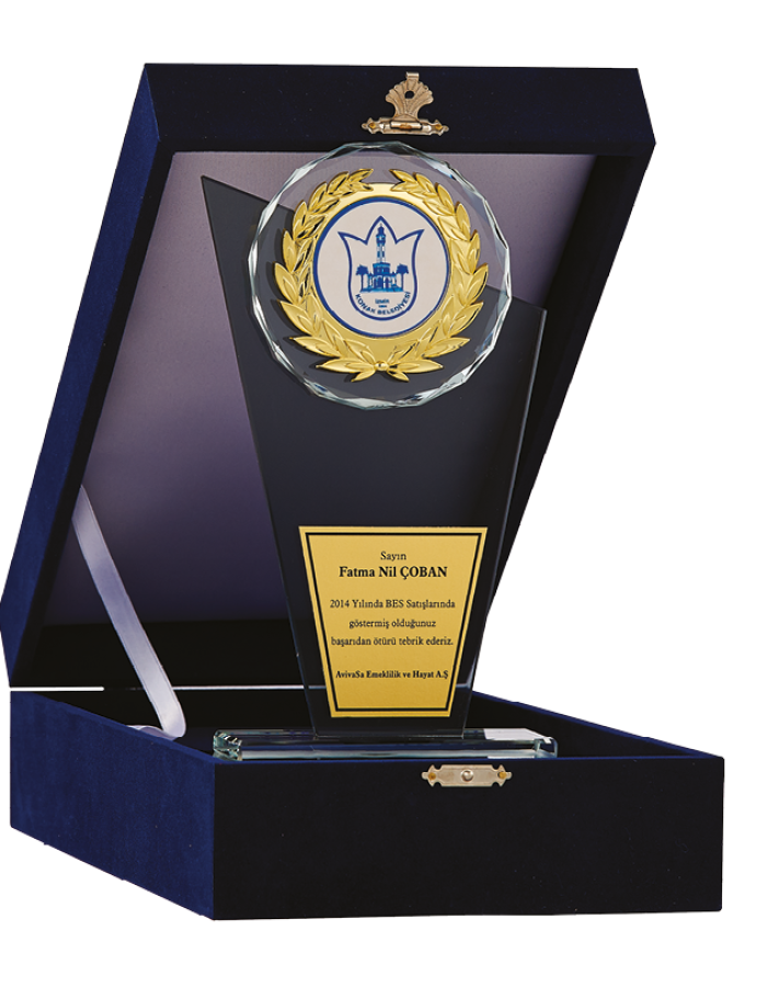 plaket çeşitleri 8